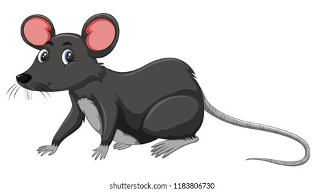A black rat on white background illustration