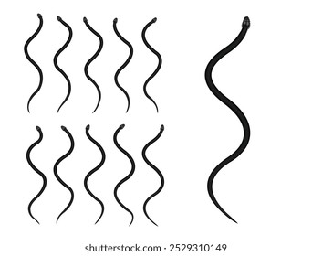 Black Rat Snake Animal Animation Sequence Cartoon Vector