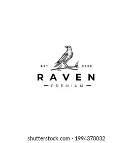 Black Raven Animal Drawing Logo Vector Illustration Template Icon Design