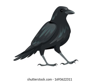 Schwarze Vogelkarikatur Krähen Design flache Vektorillustration Tiergrafik einzeln auf weißem Hintergrund