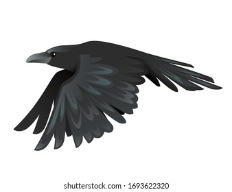 Black raven bird cartoon crow design flat vector animal illustration isolated on white background