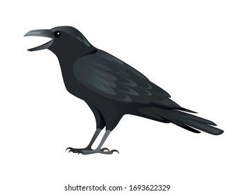 Black raven bird cartoon crow design flat vector animal illustration isolated on white background