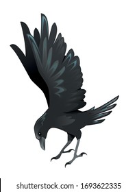 Schwarze Vogelkarikatur Krähen Design flache Vektorillustration Tiergrafik einzeln auf weißem Hintergrund