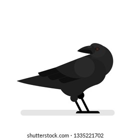 Black raven. Bird with dark feather and large wing. Crow with big beak. Isolated vector illustration in cartoon style