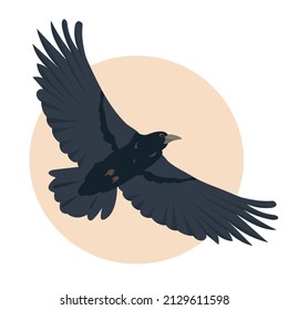 Black raven bird flying in the sky. Raven icon. Vector flat or cartoon illustration for Nature and wildlife, birdwatching and ornithology design.