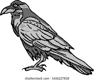 A black raven bird. Hand drawn vector illustration. 