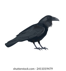 Black raven bird. Vector illustration isolated on a white background in a realistic style