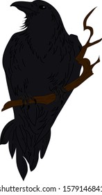  Black Raven, cartoon vector design
