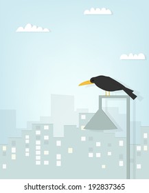 black raven in the city