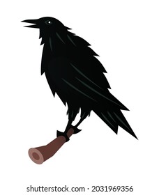 Black raven - creative, modern cartoon style object
