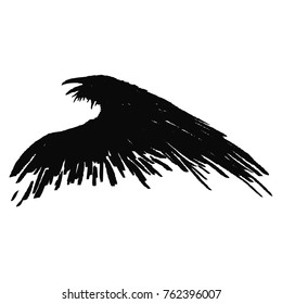 Black raven crow with open beak.