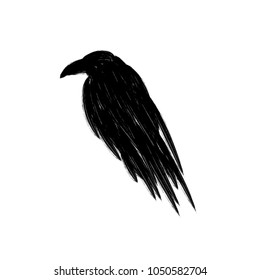 Black raven crow silhouette isolated on a white background.