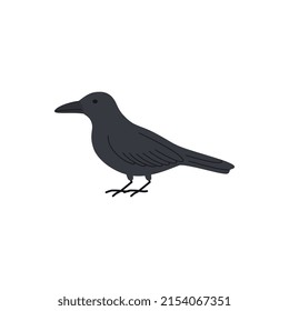 Black raven or crow as symbol of bad luck or misfortune, flat vector illustration isolated on white background. Dangerous bird or wild animal. Mystery and superstition concepts.