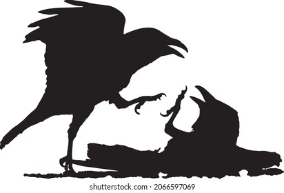 Black raven fighting in snow