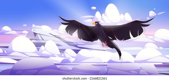 Black raven fly above high mountains top and clouds. Vector cartoon illustration of rocks peak landscape with snow, ice, soft clouds and flying crow, wild bird with spread wings