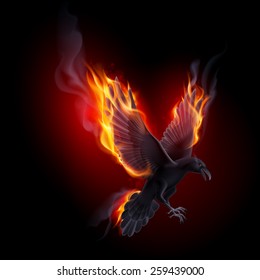 Black raven flying in the flame on the black background