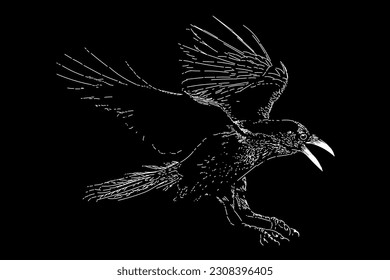 black raven hand drawing vector isolated black background 