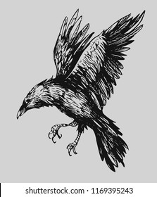 Black Raven. Hand Drawn Sketch Converted To Vector. Isolated