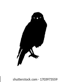 Black raven illustrated by ink on a white background. Vector. Image of a bird, crow, jackdaw, magpie. Occultism, mysticism, shamanism, symbol, magic. Chinese style, oriental.