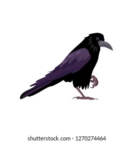 Black raven illustration. Bird, black, mystic. Nature life concept. Vector illustration can be used for topics like nature, animal world, encyclopedia 