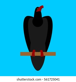 Black Raven isolated. Big bird on blue background