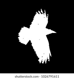 Black raven isolated on black background grunge style. Hand drawn crow vector illustration.