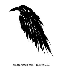 Black raven isolated on a white background. Black bird crow vector illustration.