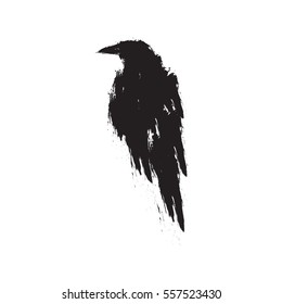 Black raven isolated on white background. Hand drawn crow.