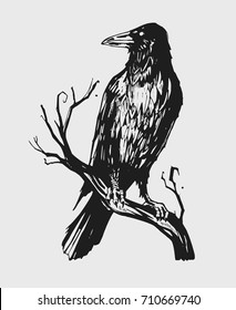Black raven on a branch. Hand drawn illustration converted to vector