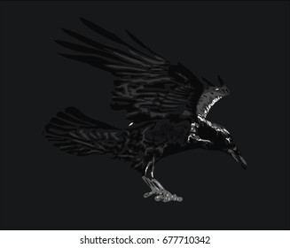 Black Raven on dark background - Vector art