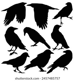 Black raven silhouette collection: Set of black crows icon, Raven icons, Isolated black silhouette birds, Set of black isolated silhouettes with crows