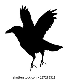 black raven silhouette, horror time