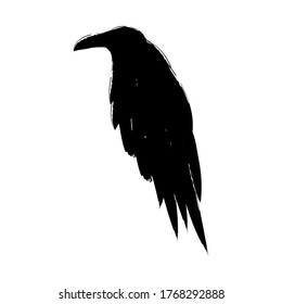 Black raven silhouette isolated on a white background. Hand drawn black bird crow vector illustration.