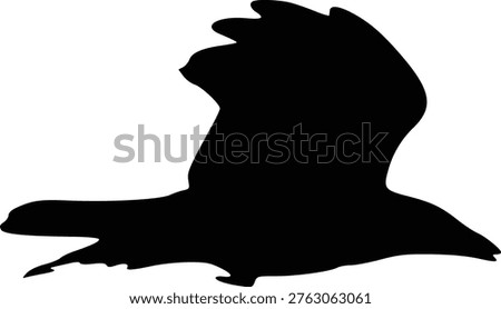 Black Raven Silhouette Soaring in Flight