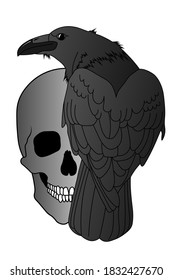 A black raven sits on a grinning human skull. Illustration for Occult, Ritual, Black Magic and Witchcraft. Raven looks over his shoulder. Grinning scary human Skull. Vector isolated