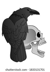 A black raven sits on a grinning human skull. Illustration for Occult, Ritual, Black Magic and Witchcraft. Raven looks over his shoulder. Grinning scary human Skull. Vector isolated