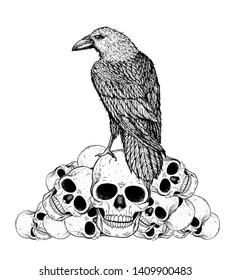 Black raven sits the skulls  Skull   raven hand drawn illustration  Tattoo vintage print  Skull hand drawn print  Tattoo design  Pile skulls   raven 