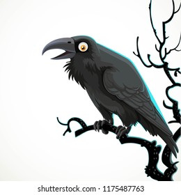 Black raven sits on a tree branch isolated on a white background