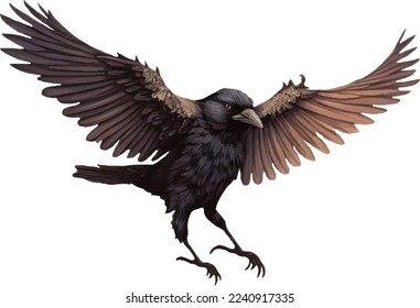 Black raven with spread wings isolated on white background. Realistic detailed raven crow in flight. Vector illustration