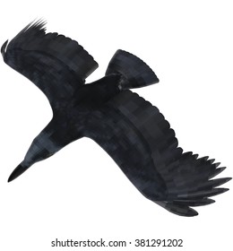 Black raven with spread wings on a white background. Vector illustration in low-polygonal style