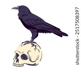 Black raven standing on a human skull. Vector illustration for Halloween. Witch