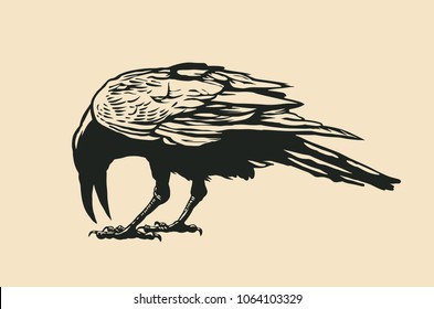 Black Raven. vector illustration