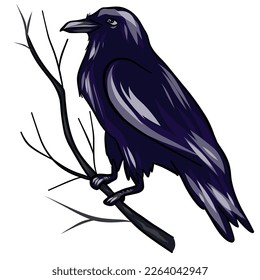 Black Raven. Vector illustration of a crow. EPS10