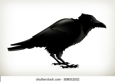 Black raven, vector silhouette