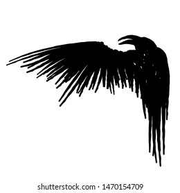 Black raven with wing isolated on a white background. Hand drawn illustration.