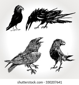 Black ravens. Vintage Hand Drawn Vector Set