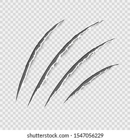 Black realistic claws animal scratch scrape track. Cat tiger scratches paw shape. Four nails trace. Damaged cloth. Ragged edges. Transparent background. Isolated. Vector illustration.