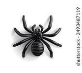 Black realistic spider, 3D. Modern image of scary spider for advertising concepts, celebrations, icon. Vector