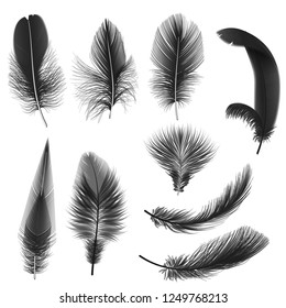 Black realistic vector feathers isolated on white.