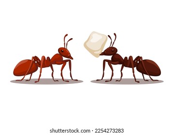 Vector de dibujos animados de personajes de animales de la hormiga negra y roja